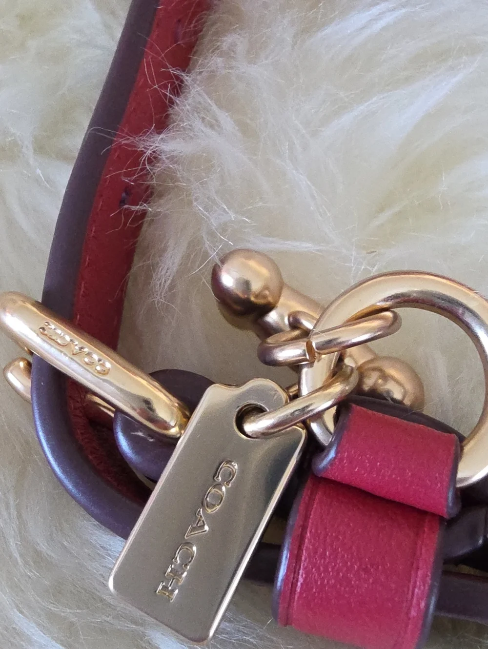 Adorable NWT IOB Coach Brown Signature Small Dog Collar 🤎🍖🖤🐕♥️🐾🎁